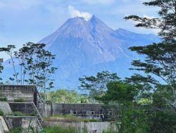 Kebakaran Hutan di Puncak Merapi Ungup-Ungup: Tantangan dan Upaya Penanganan