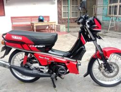 Yamaha Champ: Motor Ayam Jago yang Memikat Hati