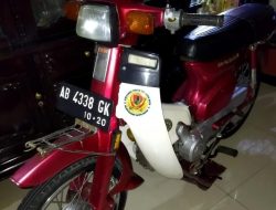 Honda Super Cub C800: Keberanian Desain dan Daya Tarik Nostalgia