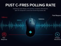 Polling Rate pada Periferal Komputer: Memahami Kecepatan Respons dari Hal yang Sering Diabaikan