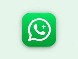 WhatsApp Plus Hadir di Uji Coba Awal, Tawarkan Pengalaman Lebih Personal Tanpa Ganggu Fitur Gratis
